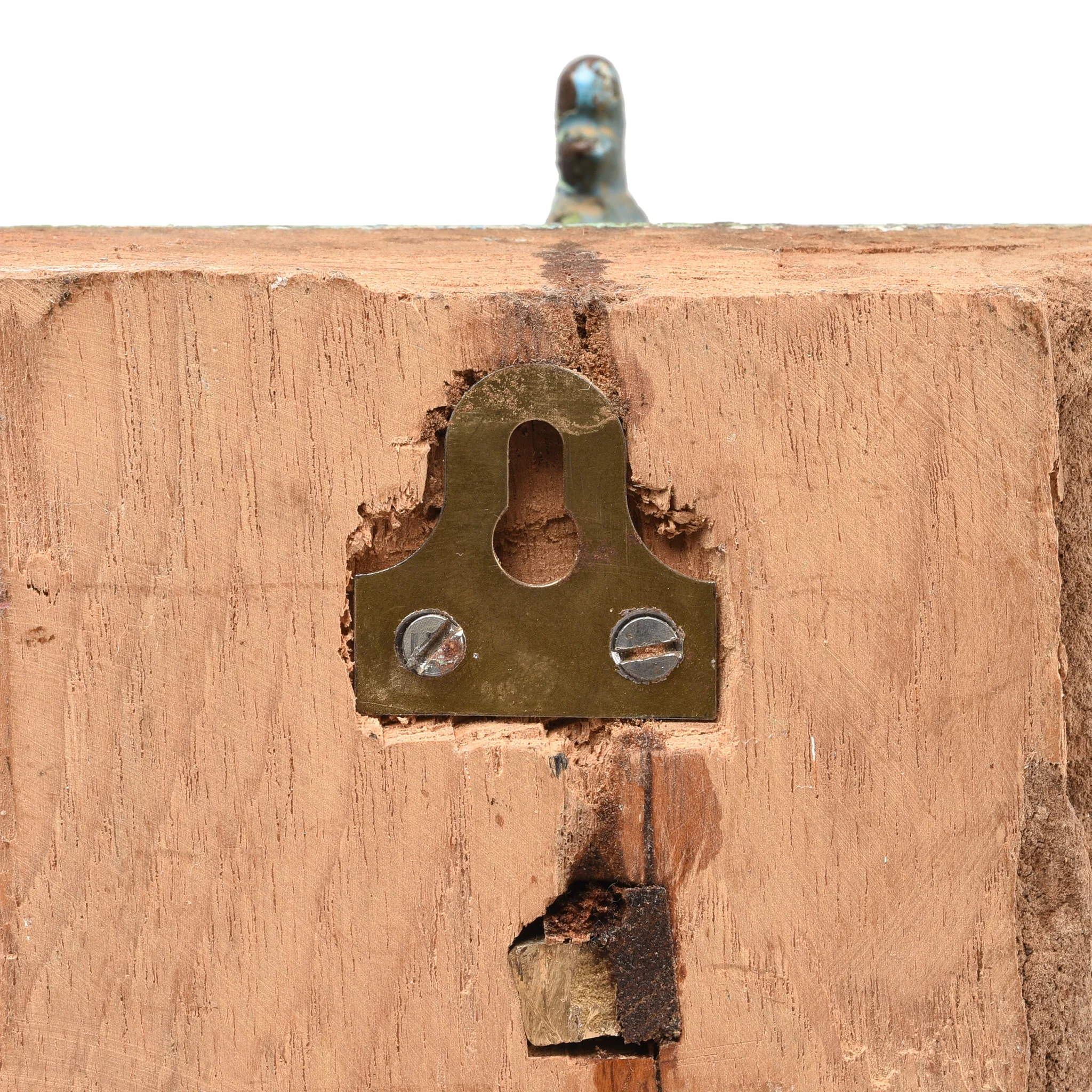 Brass Peacock Coat Hook on Painted Teak Base -19thC - Image 5