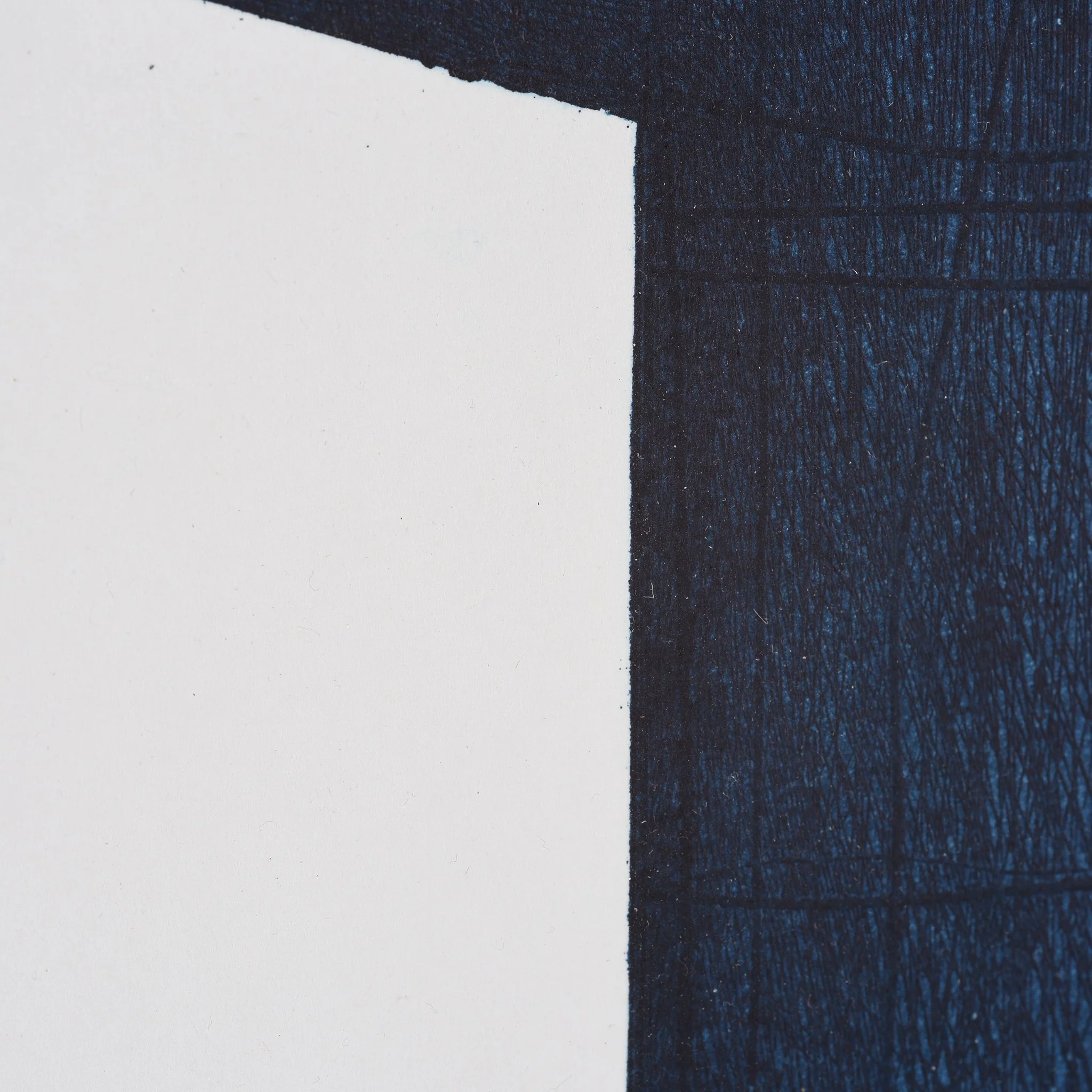 Framed Indigo Lithograph - Image 3