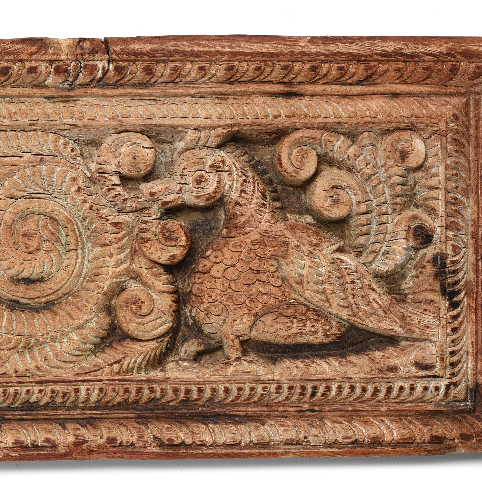 Bleached Teak Peacock Panel - 19th Century - Image 2