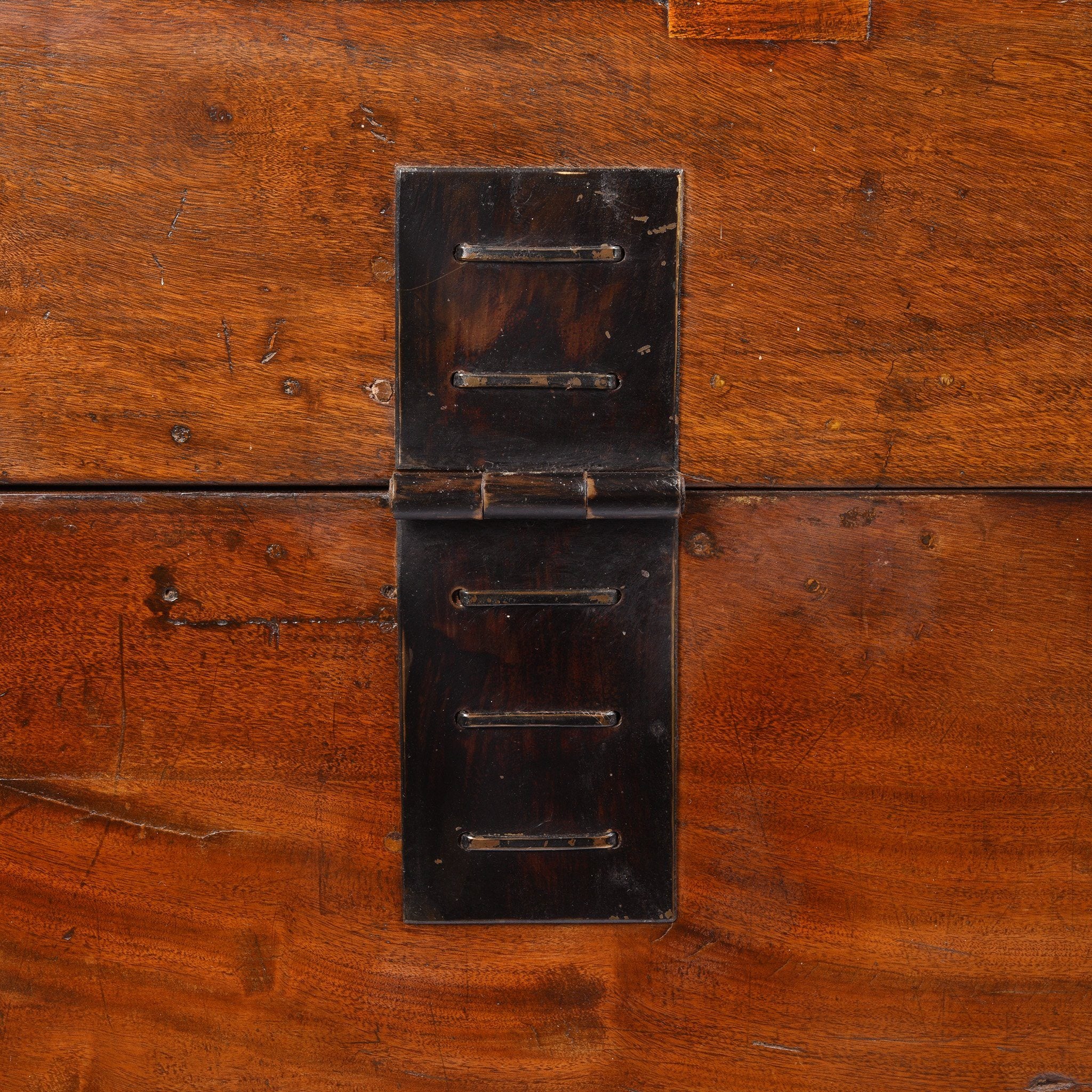Exceptionally Large Camphor Trunk From Hebei - 19th Century - Image 11