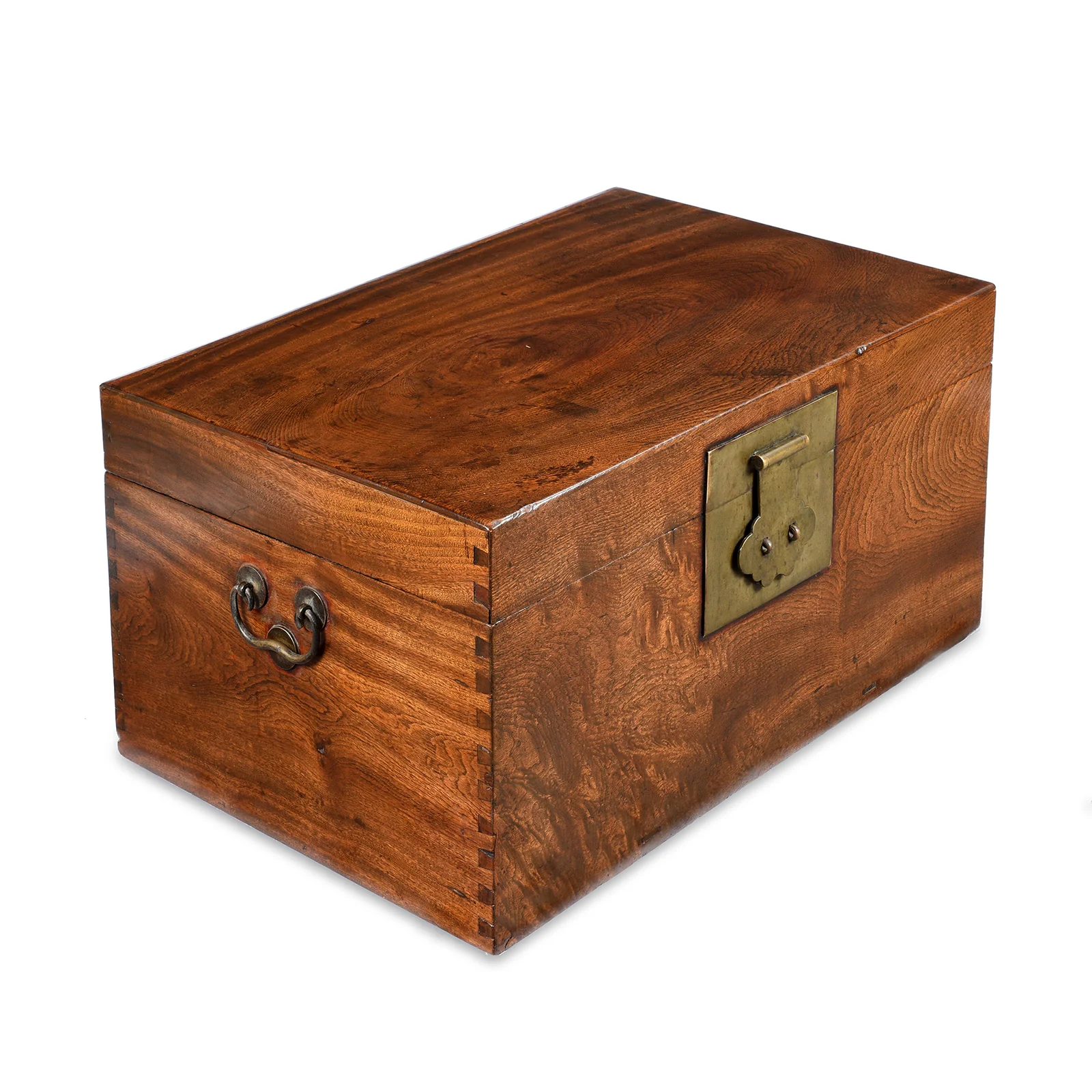 Chinese Burr Camphor Chest From Tianjin - 19th Century - Image 2
