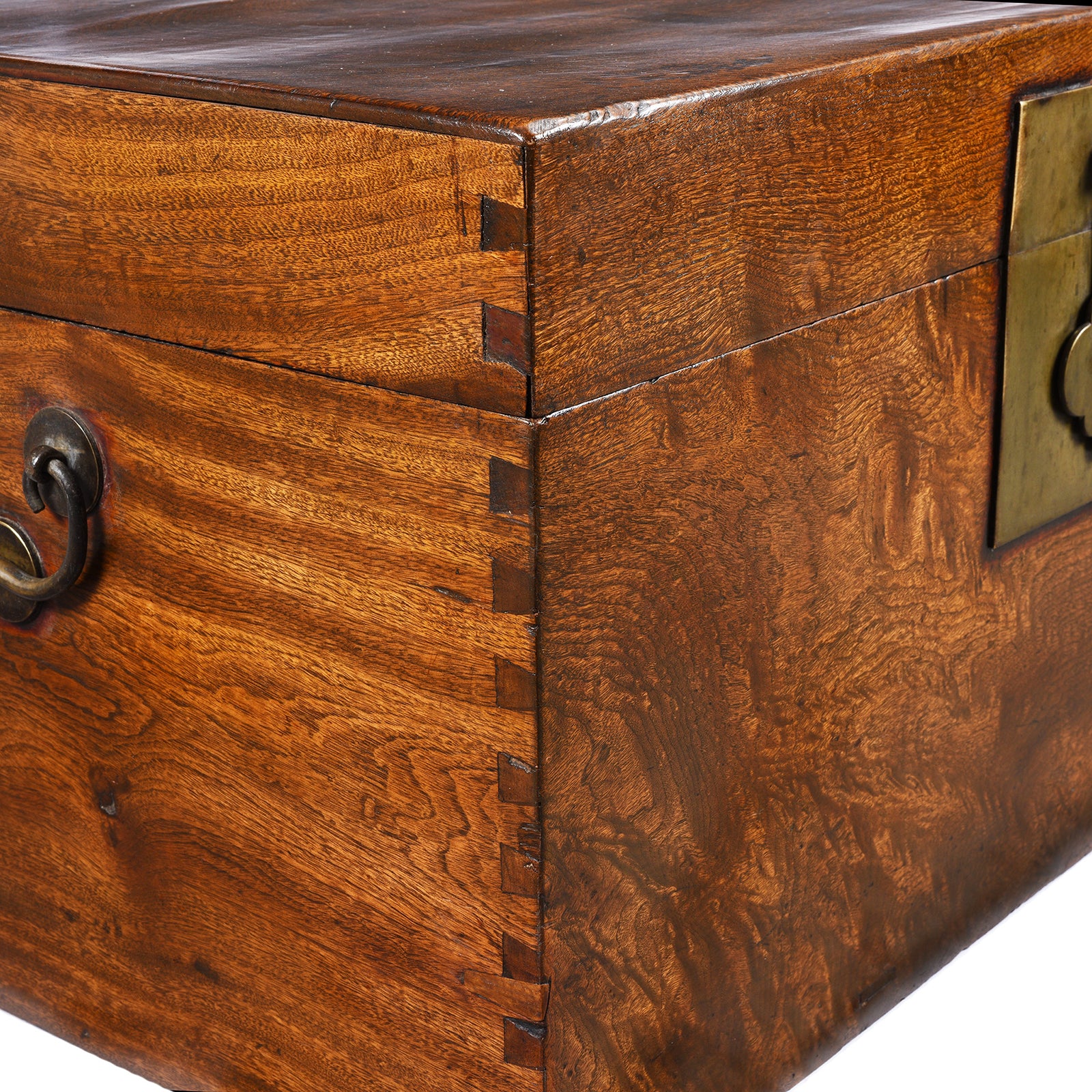 Chinese Burr Camphor Chest From Tianjin - 19th Century - Image 8