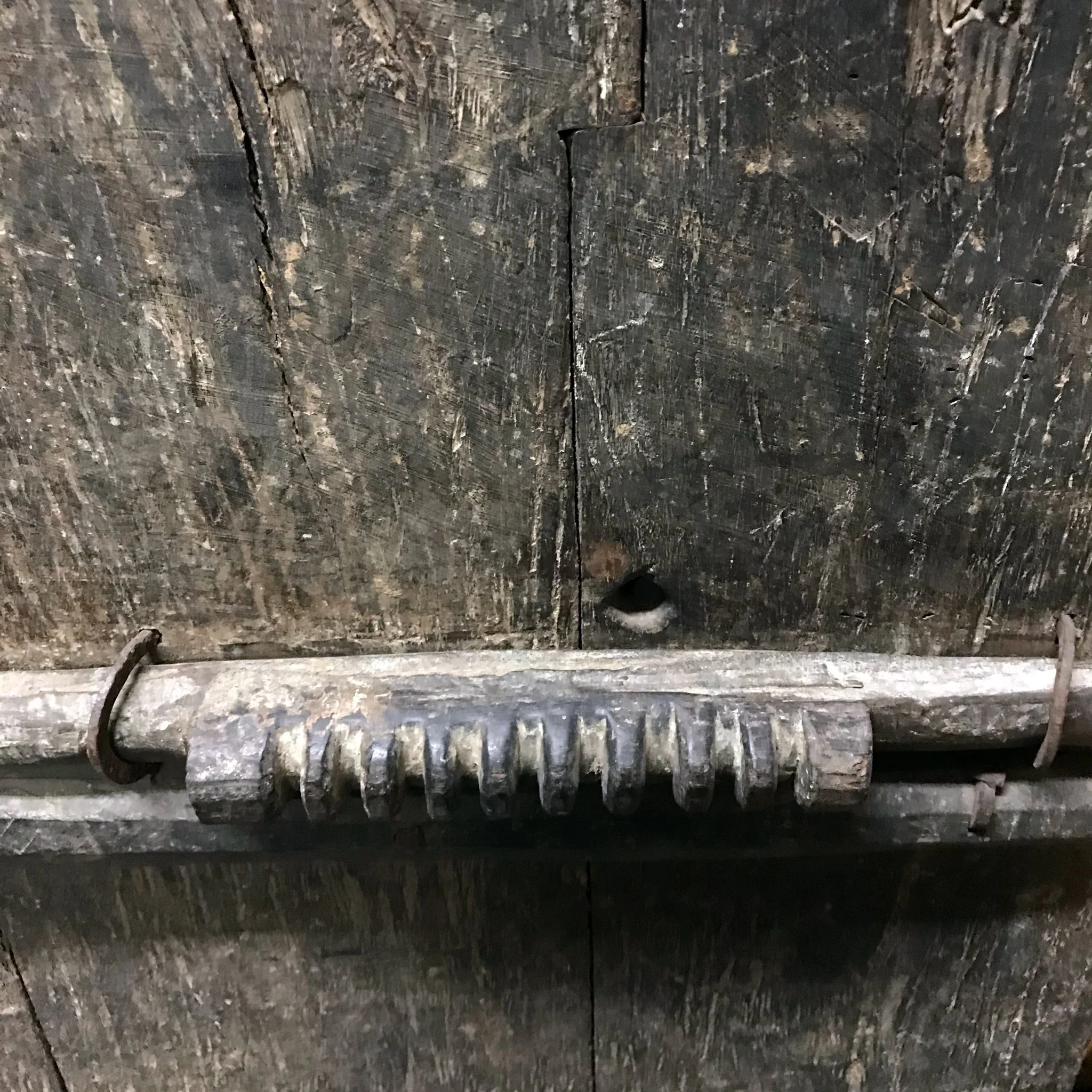 Tribal Elephant Window Shutter From Maharastra - 19thC - Image 5