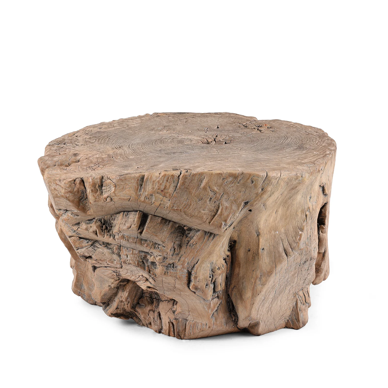 Yumu Elm Tree Stump Coffee Table - Image 2