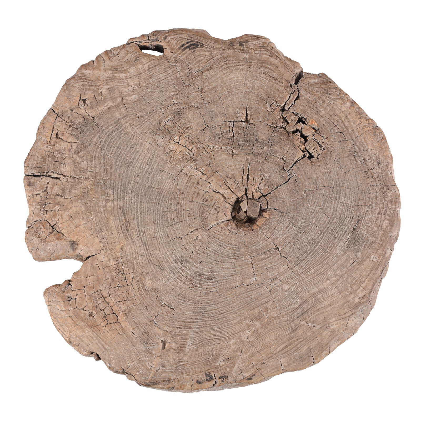 Yumu Elm Tree Stump Coffee Table - Image 3