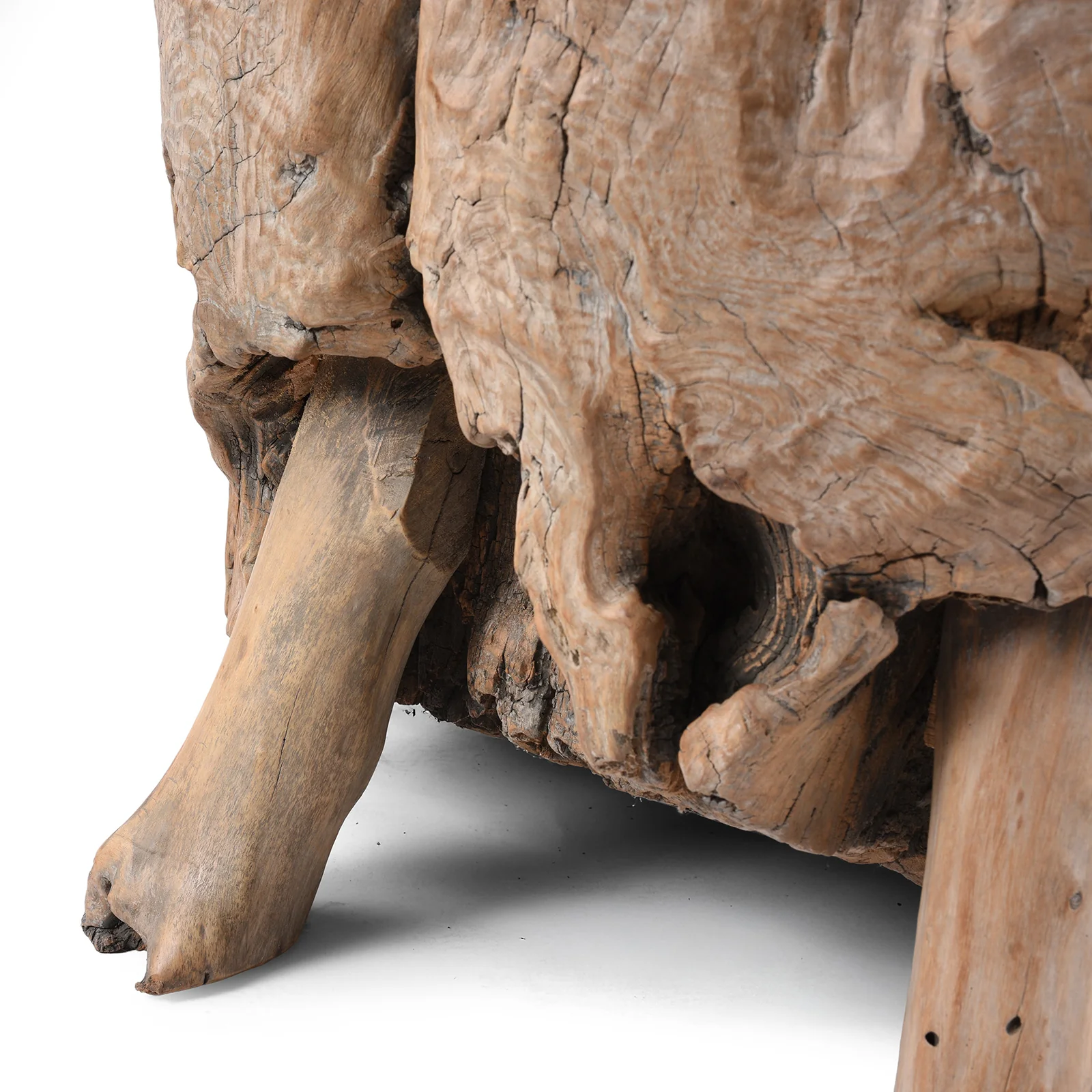 Yumu Elm Tree Stump Coffee Table - Image 7