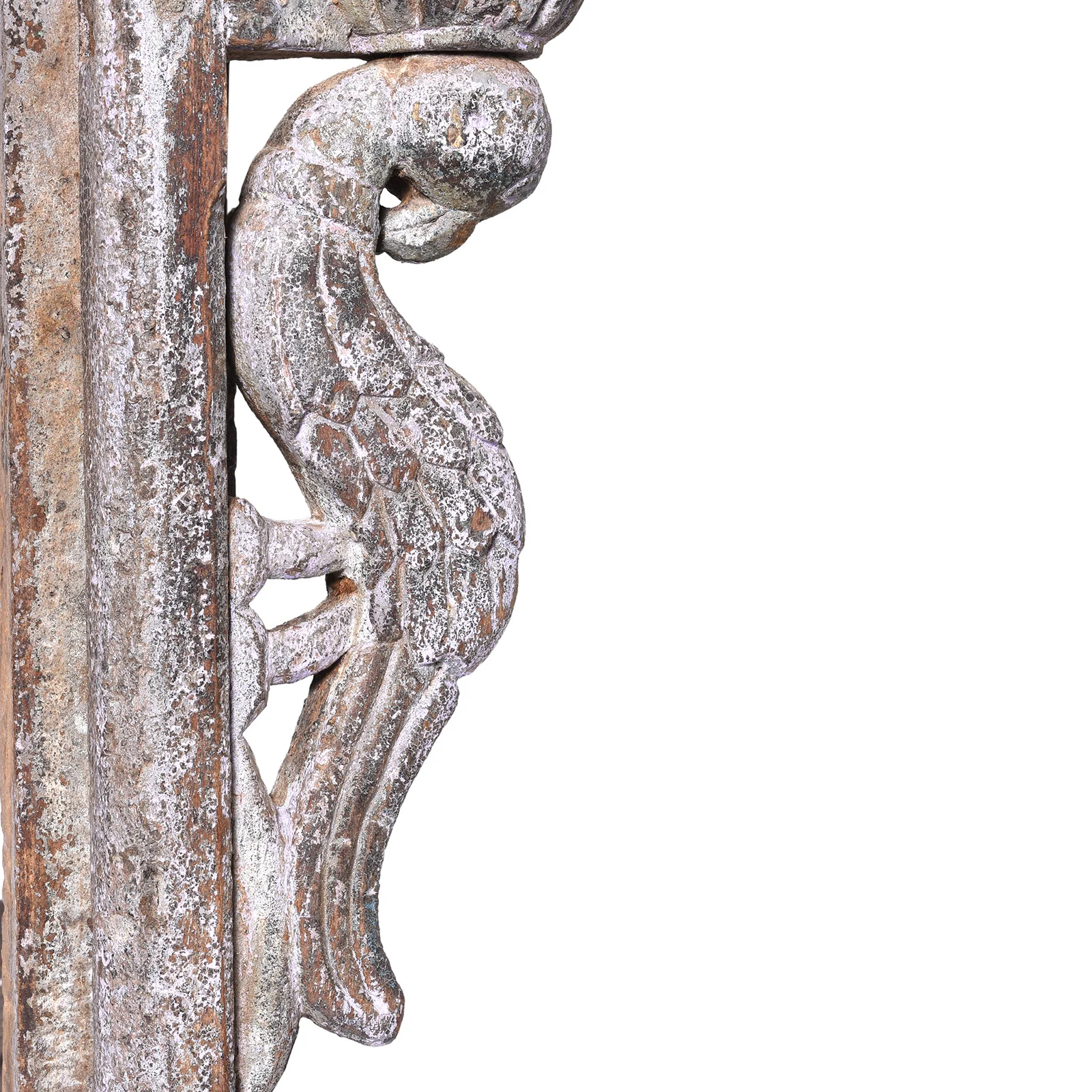Parrot Lamp Bracket From Gujarat - 19th Century - Image 4