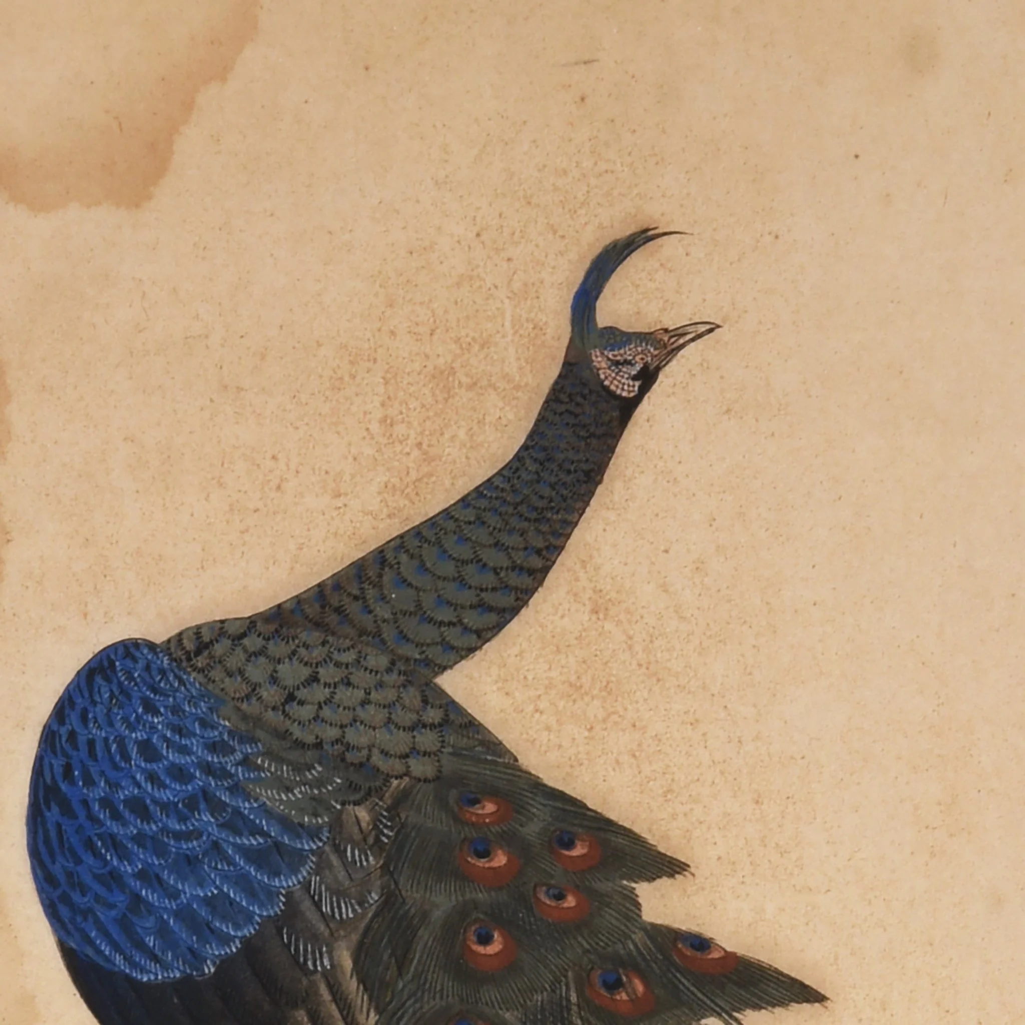 Japanese Painting of Peacock - Image 2